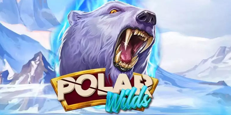 Uncover the Frozen Riches of Polar Wilds!