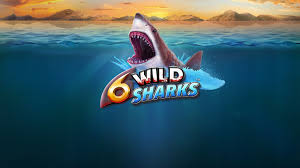 6 Wild Sharks Slots